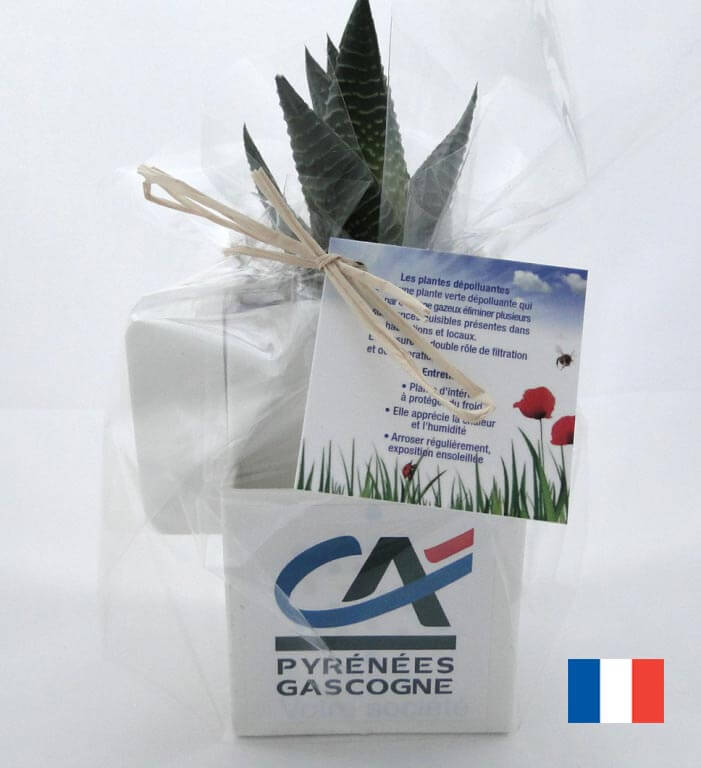 La box vegetale ecologique publicitaire ECO123